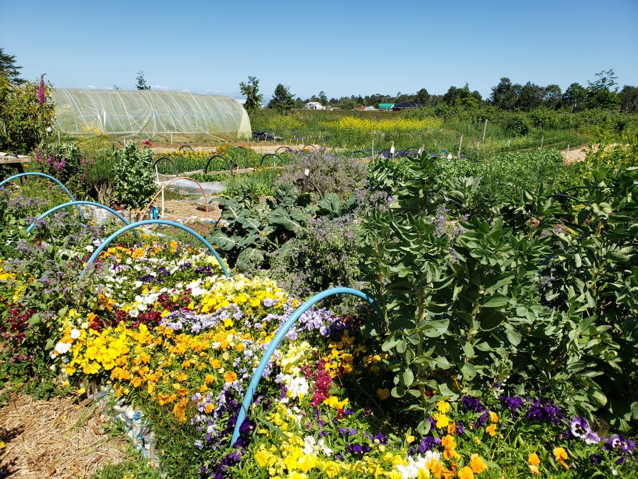 Gira agroecológica 07