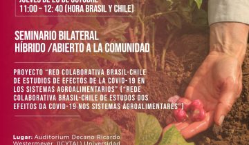 Seminario Red colaborativa Brasil-Chile de estudios de efectos de la COVID-19 en los sistemas agroalimentarios