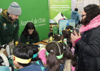 Festival de las Abejas y la Miel invitó a fortalecer el rubro apícola en la región