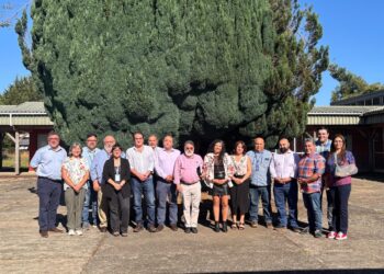 CIC Los Ríos da inicio formal a su Gobernanza con sesión clave para proyectar el trabajo colaborativo regional