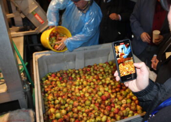 UACh fue sede de Rueda de Negocios en la Fiesta de la Manzana y la Sidra