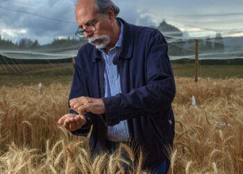 Dr. Daniel Calderini integra Grupo de Evaluación de Agronomía de FONDECYT